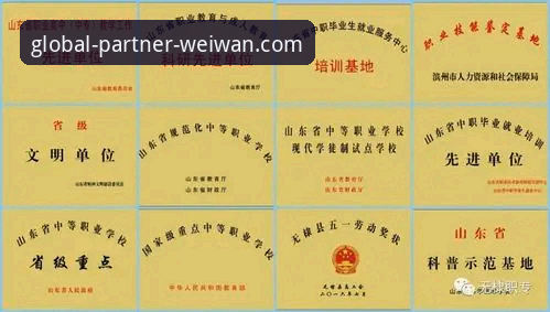 自我摸索vs专业指导：微玩体育合作咨询与全球招募计划深度解析